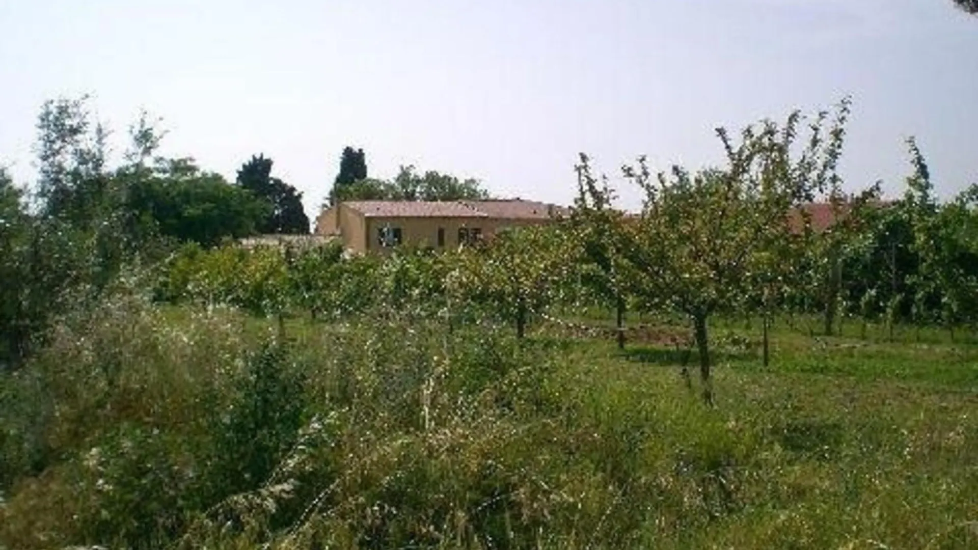 Schoene Wohnung Mit Garten In Cecina Cecina  Italy