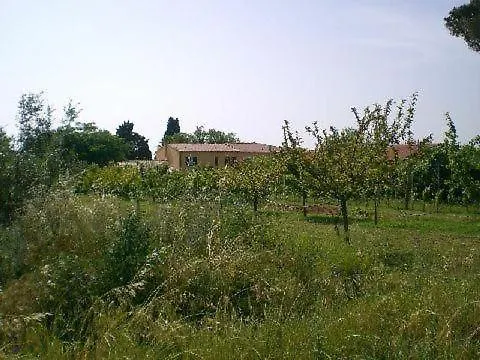 Schoene Wohnung Mit Garten In Cecina Cecina  0*, Cecina (Livorno)